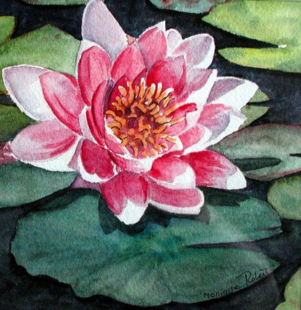 Le lotus